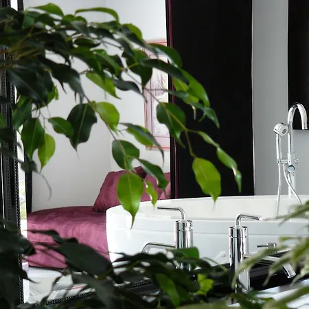 Chambres D'hotes La Cecile Vouhe (Charente-Maritime)